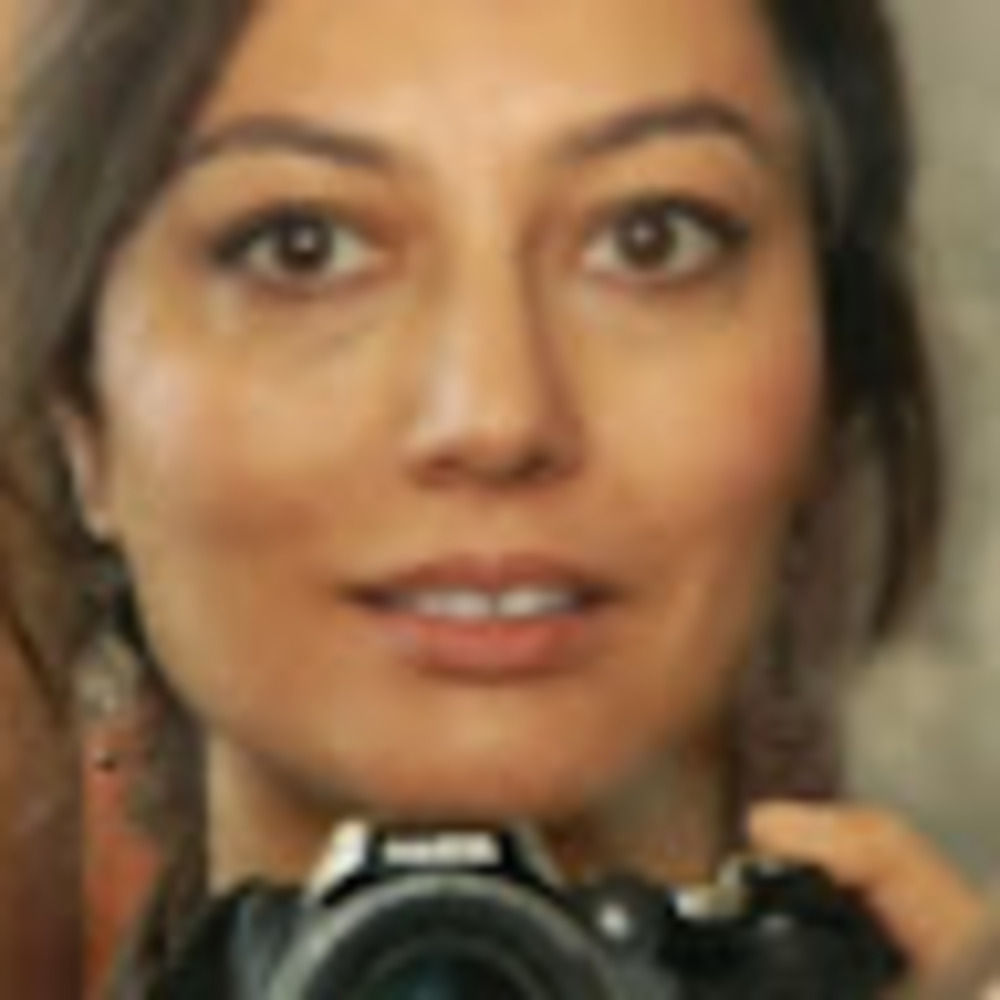 Meet your Posher, Handan